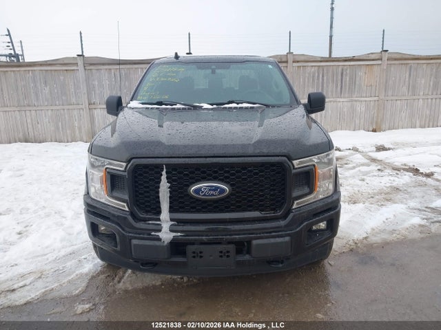 Ford F-150 Xl 2020 1FTEW1EP8LKE50732 Image 11
