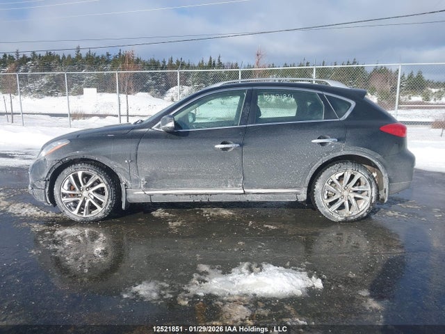JN1BJ0RR6HM401776 Infiniti QX50