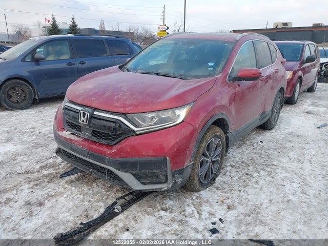 2HKRW2H87LH216821 Honda Cr-v Ex-l