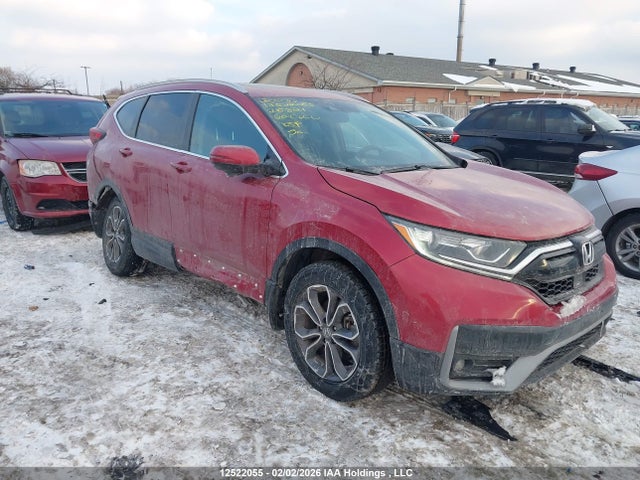 2HKRW2H87LH216821 Honda Cr-v Ex-l