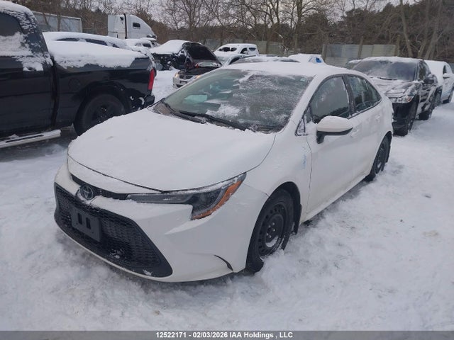 12522171 :رقم المزاد ، 5YFBPRBE7LP016627 vin ، 2020 Toyota Corolla Le مزاد بيع
