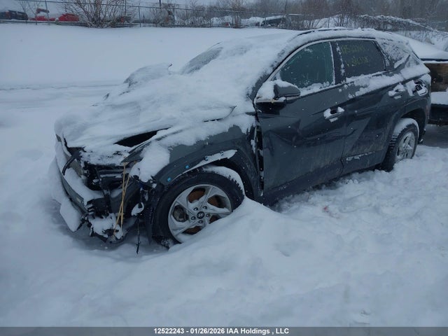 Auction sale of the 2024 Hyundai Tucson Trend Awd, vin: KM8JCCDE9RU316338, lot number: 12522243