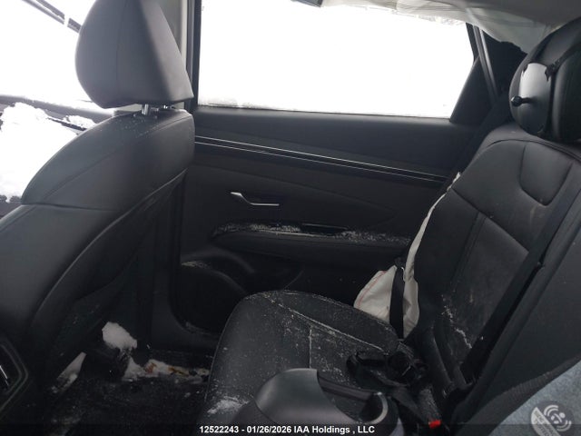 Auction sale of the 2024 Hyundai Tucson Trend Awd, vin: KM8JCCDE9RU316338, lot number: 12522243