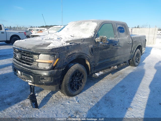 Продажа на аукционе авто 2024 Ford F-150 Xlt, vin: 1FTEW3LP3RKE77814, номер лота: 12522277