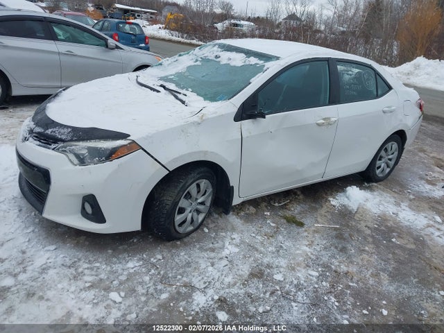 2T1BURHE2GC585715 Toyota Corolla L/le/le Pls/prm/s/s Pls