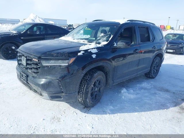 Продажа на аукционе авто 2025 Honda Pilot Trailsport, vin: 5FNYG1H65SB507154, номер лота: 12522344