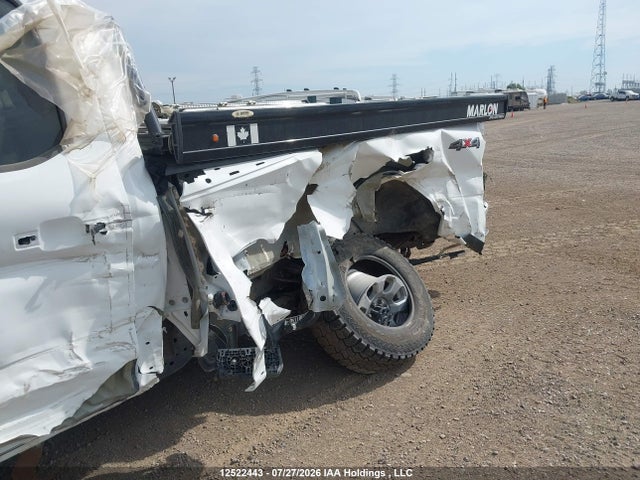 Продаж на аукціоні авто 2024 Ford F350 Super Duty, vin: 1FT8W3BN1RED12906, номер лоту: 12522443