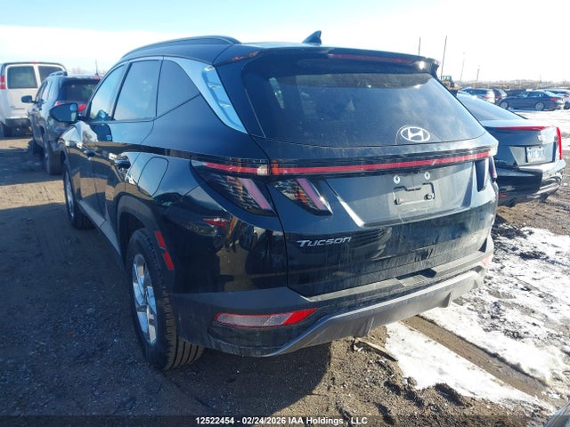 Продаж на аукціоні авто 2023 Hyundai Tucson Preferred Awd With Trend Package, vin: KM8JCCAE6PU252566, номер лоту: 12522454