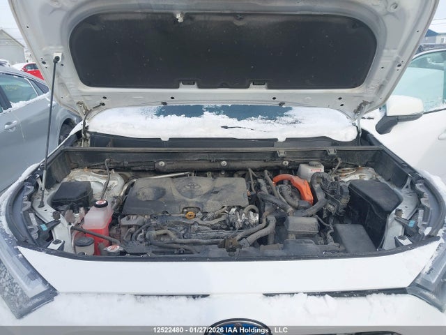 2T3RWRFV1PW165512 Toyota Rav4 Xle/woodland Edition
