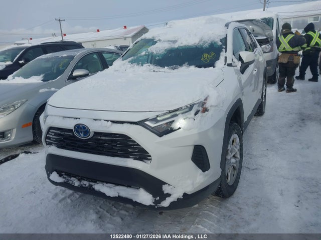 2T3RWRFV1PW165512 Toyota Rav4 Xle/woodland Edition