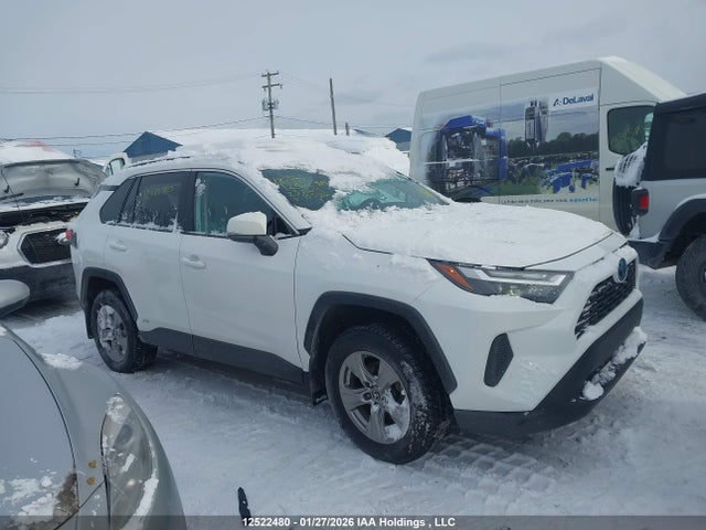 2T3RWRFV1PW165512 Toyota Rav4 Xle/woodland Edition