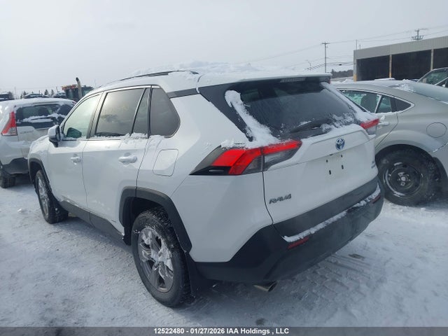 2T3RWRFV1PW165512 Toyota Rav4 Xle/woodland Edition