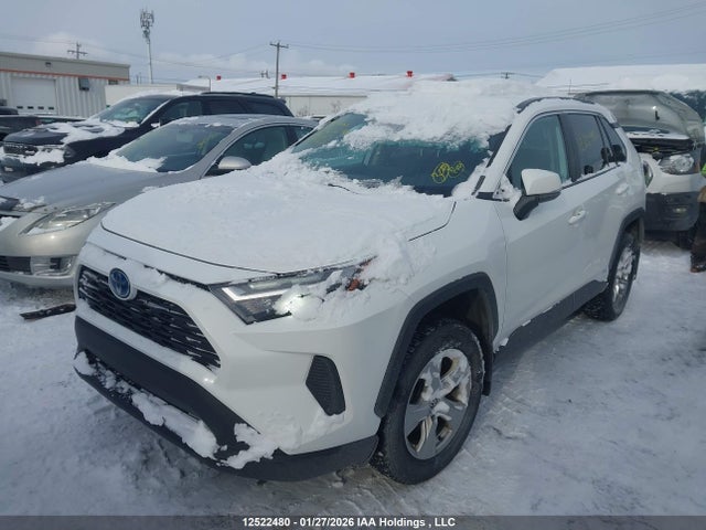 2T3RWRFV1PW165512 Toyota Rav4 Xle/woodland Edition