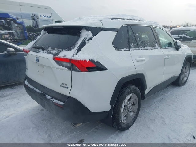 2T3RWRFV1PW165512 Toyota Rav4 Xle/woodland Edition