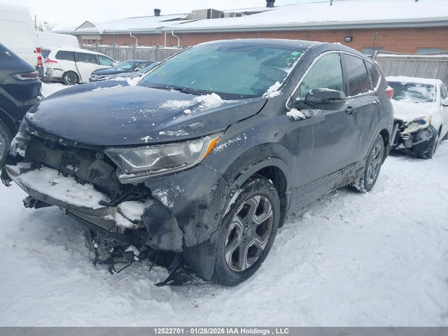 2HKRW2H51KH103256 Honda CR-V EX