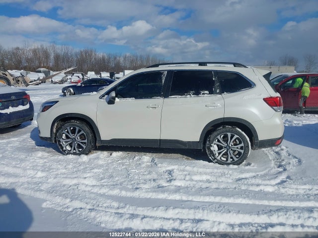 Subaru Forester Limited 2019 JF2SKEUC9KH588605 Image 13
