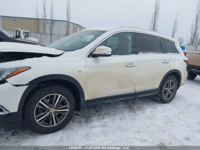 5N1DL0MM9KC502010 Infiniti Qx60 Luxe/pure
