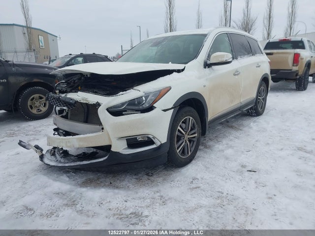 5N1DL0MM9KC502010 Infiniti Qx60 Luxe/pure