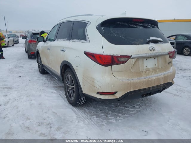 5N1DL0MM9KC502010 Infiniti Qx60 Luxe/pure