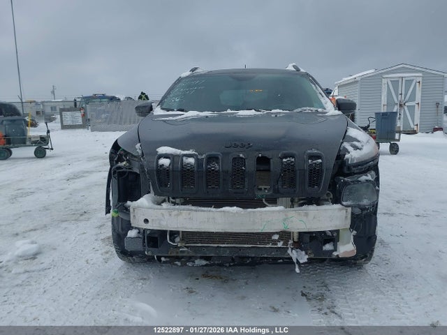 Jeep Cherokee Limited 2017 1C4PJMDS9HW654017 Image 13