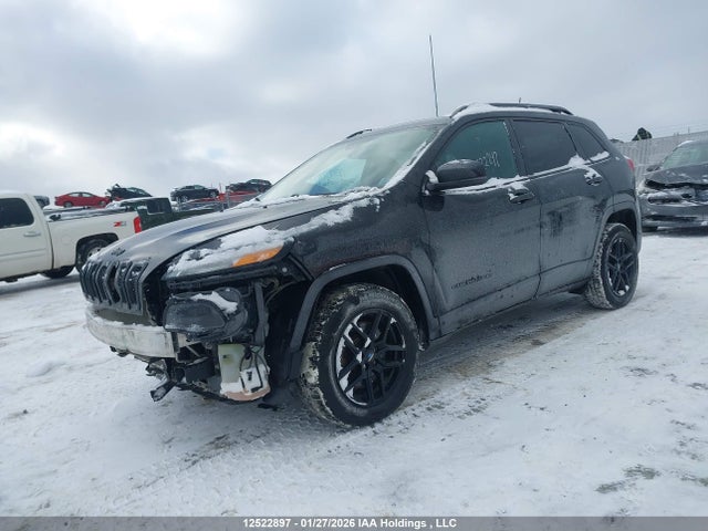 Jeep Cherokee Limited 2017 1C4PJMDS9HW654017 Image 2