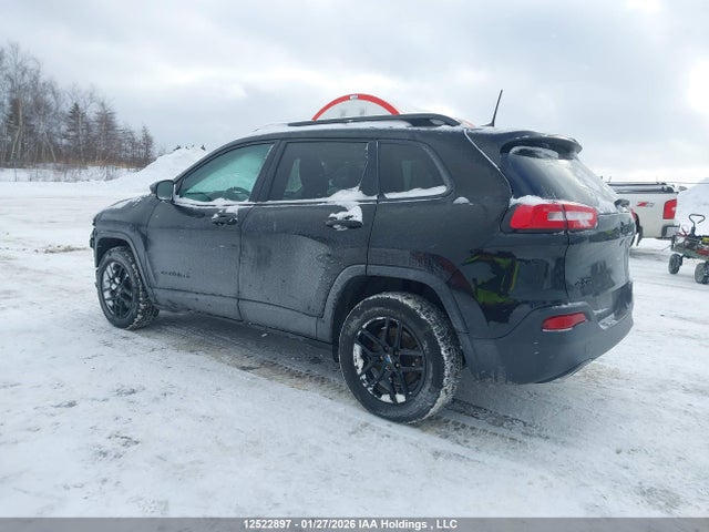 Jeep Cherokee Limited 2017 1C4PJMDS9HW654017 Image 3