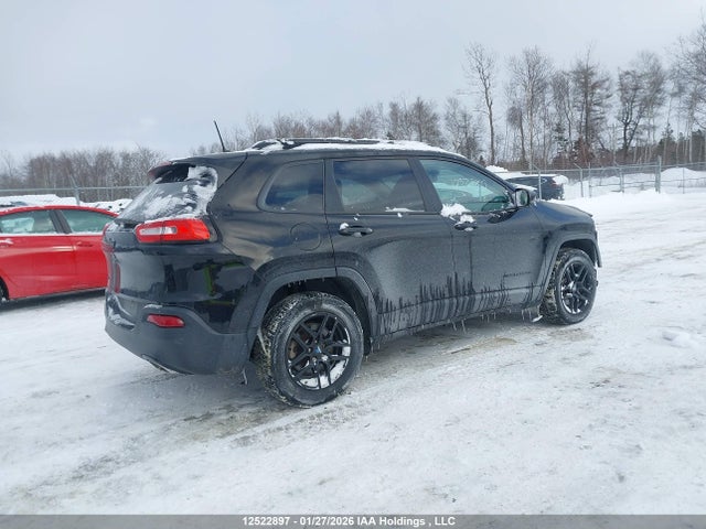 Jeep Cherokee Limited 2017 1C4PJMDS9HW654017 Image 4