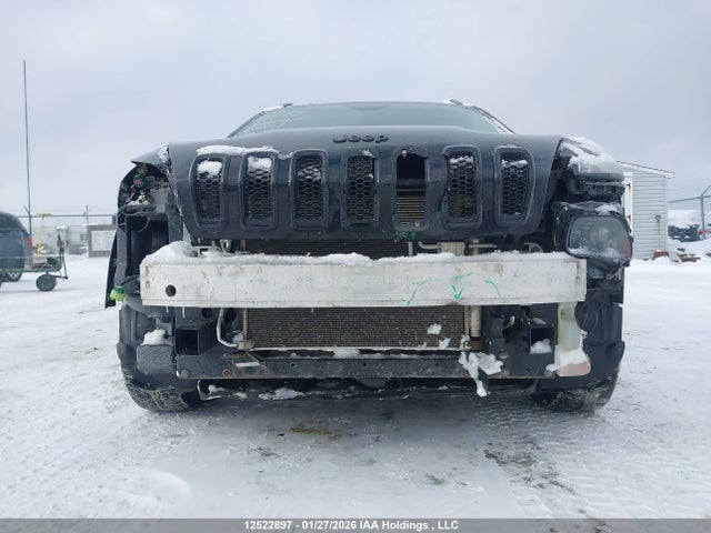 Jeep Cherokee Limited 2017 1C4PJMDS9HW654017 Image 6