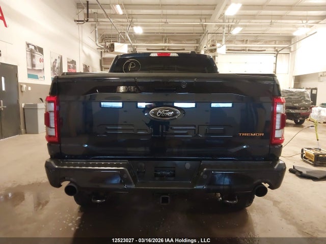 2023 Ford F150 Supercrew მანქანა იყიდება აუქციონზე, vin: 1FTEW1E80PFC82835, აუქციონის ნომერი: 12523027