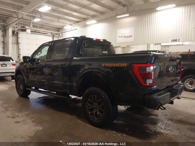 2023 Ford F150 Supercrew მანქანა იყიდება აუქციონზე, vin: 1FTEW1E80PFC82835, აუქციონის ნომერი: 12523027