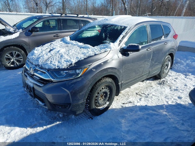 2HKRW1H34KH001989 Honda CR-V LX