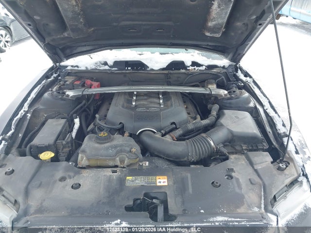 1ZVBP8CF4E5244339 Ford MUSTANG GT