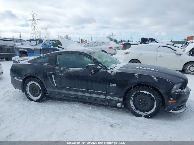 1ZVBP8CF4E5244339 Ford MUSTANG GT