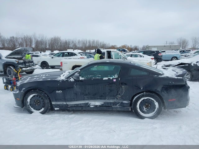 1ZVBP8CF4E5244339 Ford MUSTANG GT