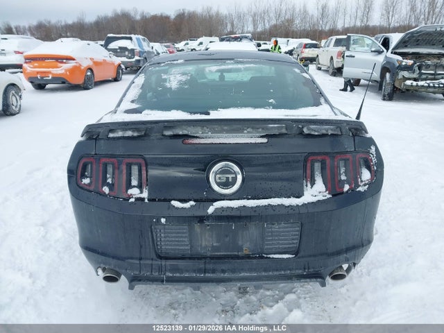 1ZVBP8CF4E5244339 Ford MUSTANG GT