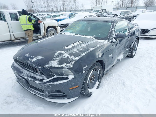 1ZVBP8CF4E5244339 Ford MUSTANG GT