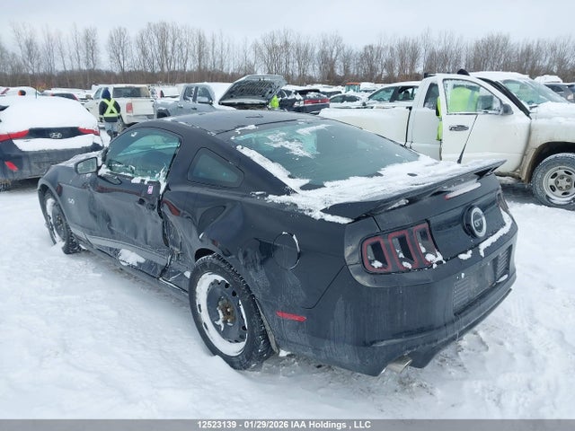 1ZVBP8CF4E5244339 Ford MUSTANG GT
