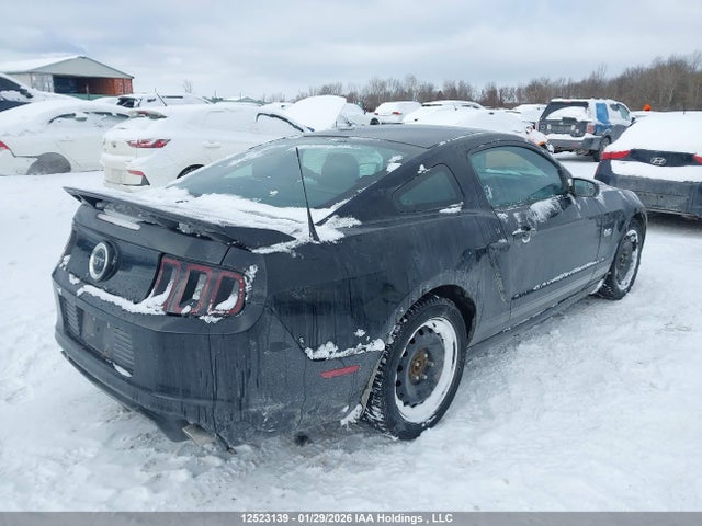 1ZVBP8CF4E5244339 Ford MUSTANG GT