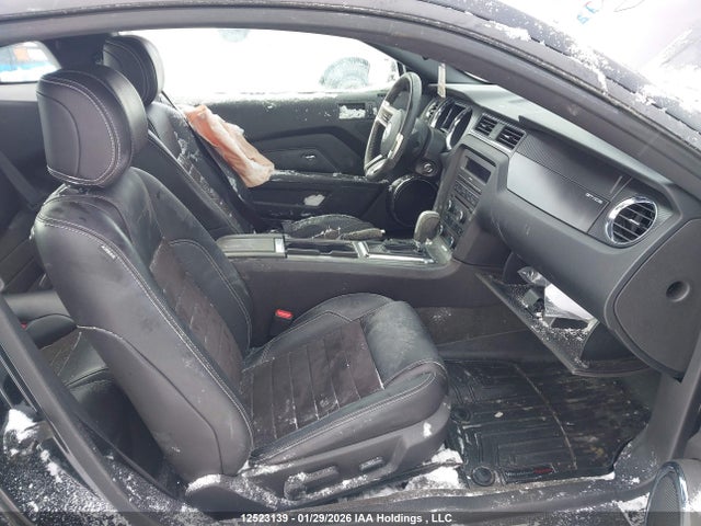 1ZVBP8CF4E5244339 Ford MUSTANG GT