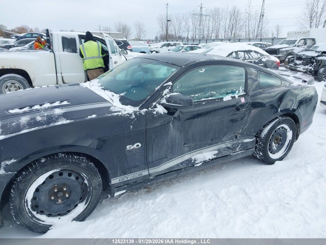 1ZVBP8CF4E5244339 Ford MUSTANG GT
