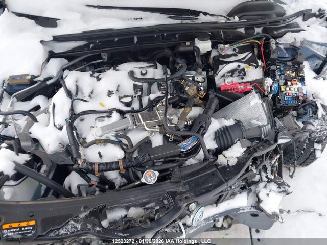 JM1BPBLM5P1615517 Mazda Mazda3 Gs