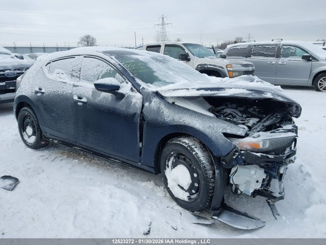 JM1BPBLM5P1615517 Mazda Mazda3 Gs