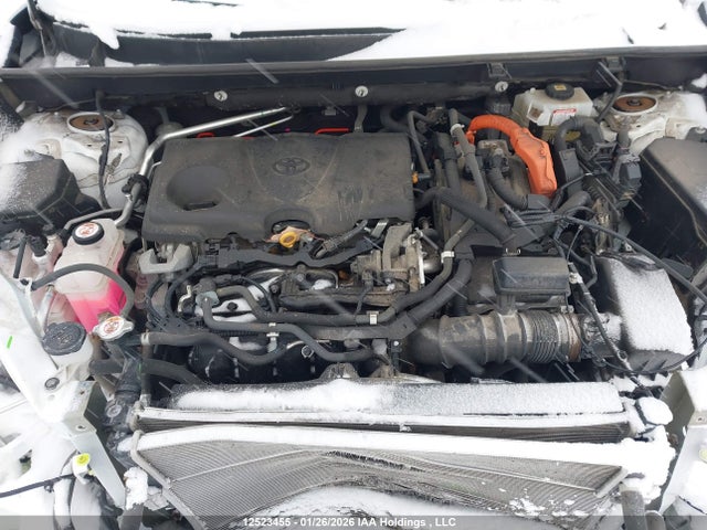 2T3RWRFV3MW116341 Toyota Rav4 Xle
