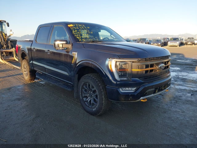 Продаж на аукціоні авто 2023 Ford F150 Supercrew, vin: 1FTEW1E8XPFA28758, номер лоту: 12523628