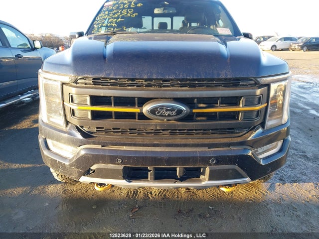 Продаж на аукціоні авто 2023 Ford F150 Supercrew, vin: 1FTEW1E8XPFA28758, номер лоту: 12523628