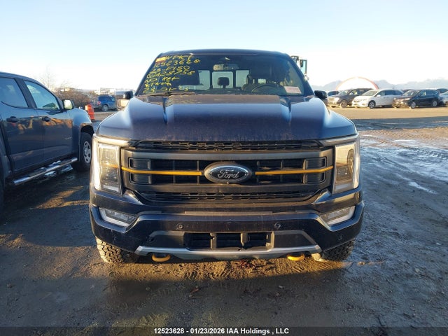 Продаж на аукціоні авто 2023 Ford F150 Supercrew, vin: 1FTEW1E8XPFA28758, номер лоту: 12523628