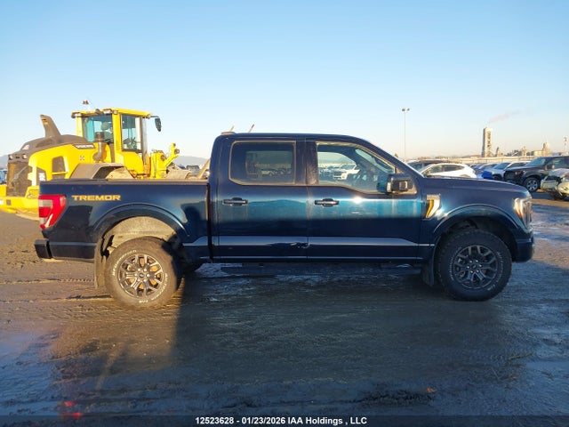Продаж на аукціоні авто 2023 Ford F150 Supercrew, vin: 1FTEW1E8XPFA28758, номер лоту: 12523628