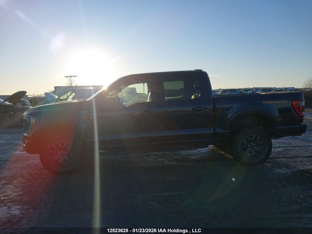Продаж на аукціоні авто 2023 Ford F150 Supercrew, vin: 1FTEW1E8XPFA28758, номер лоту: 12523628