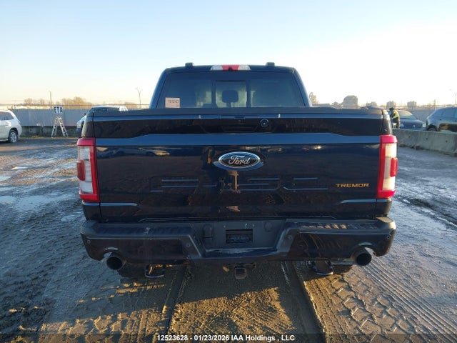 Продаж на аукціоні авто 2023 Ford F150 Supercrew, vin: 1FTEW1E8XPFA28758, номер лоту: 12523628
