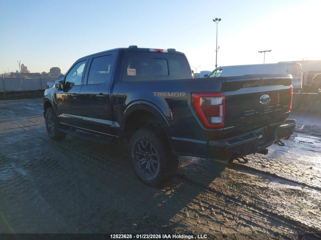 Продаж на аукціоні авто 2023 Ford F150 Supercrew, vin: 1FTEW1E8XPFA28758, номер лоту: 12523628